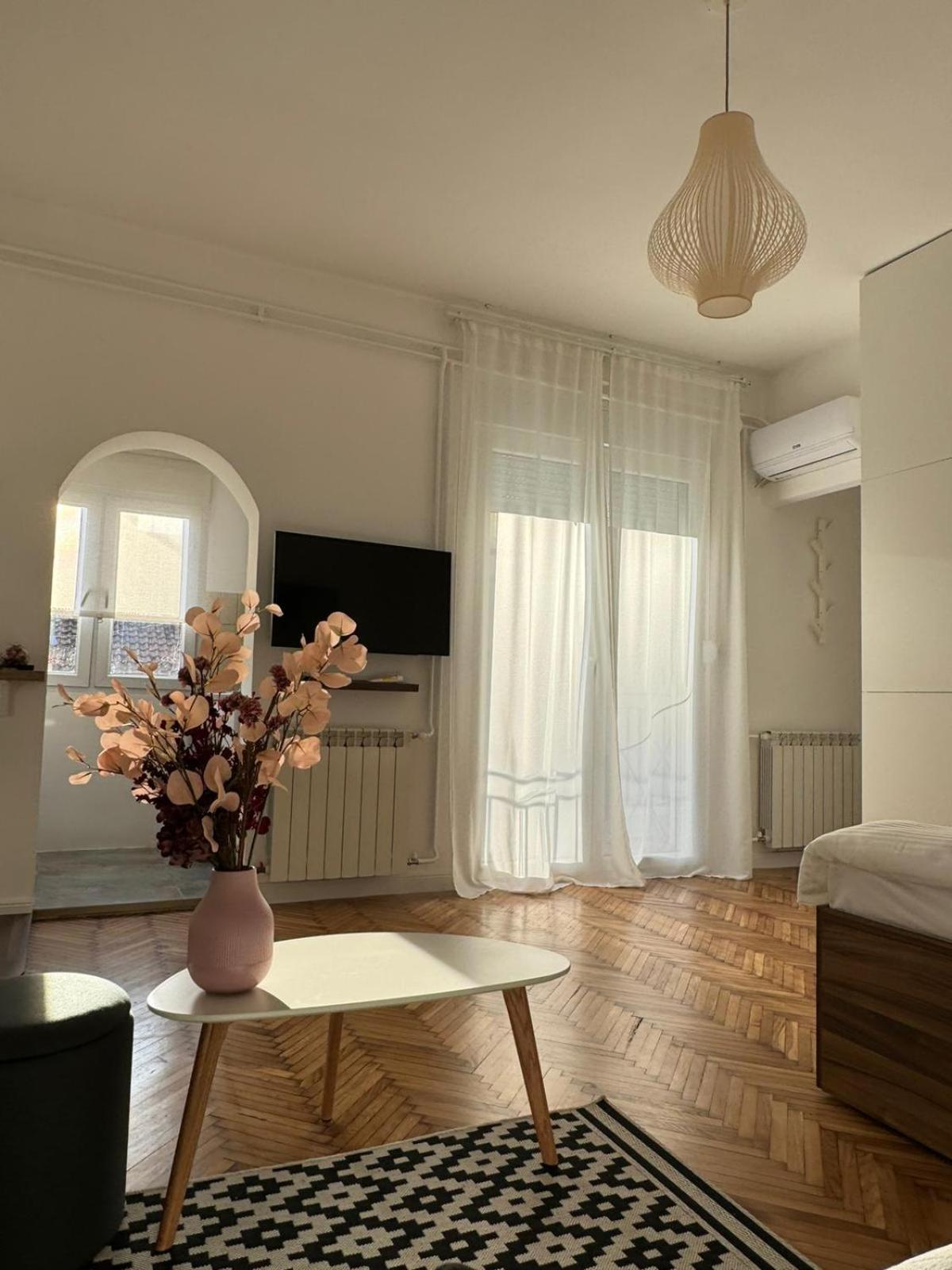 Balconia Sunny Apartment In Centre Of Belgrado Esterno foto
