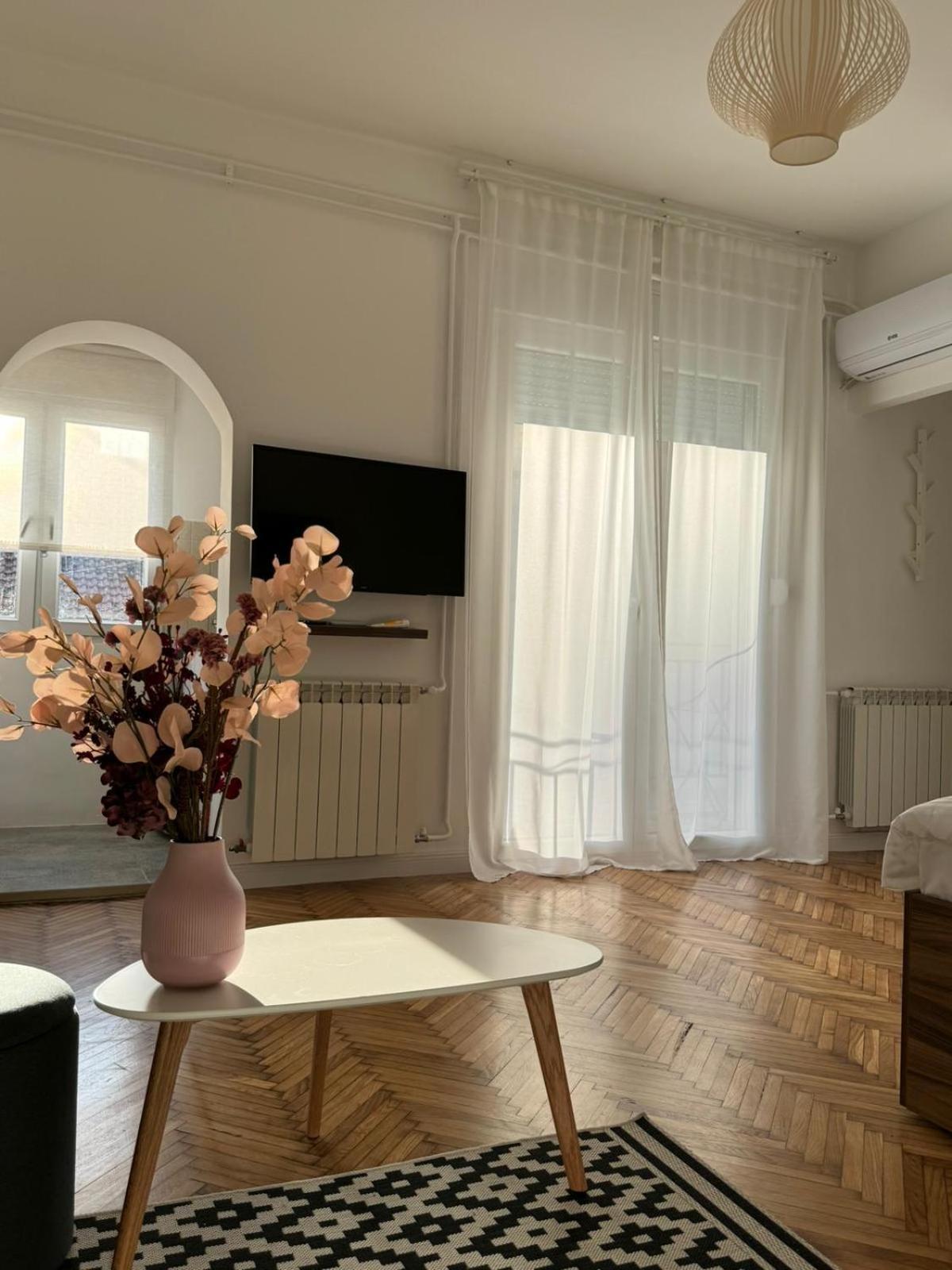 Balconia Sunny Apartment In Centre Of Belgrado Esterno foto